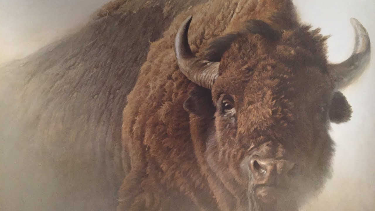 National Museum of Wildlife Art