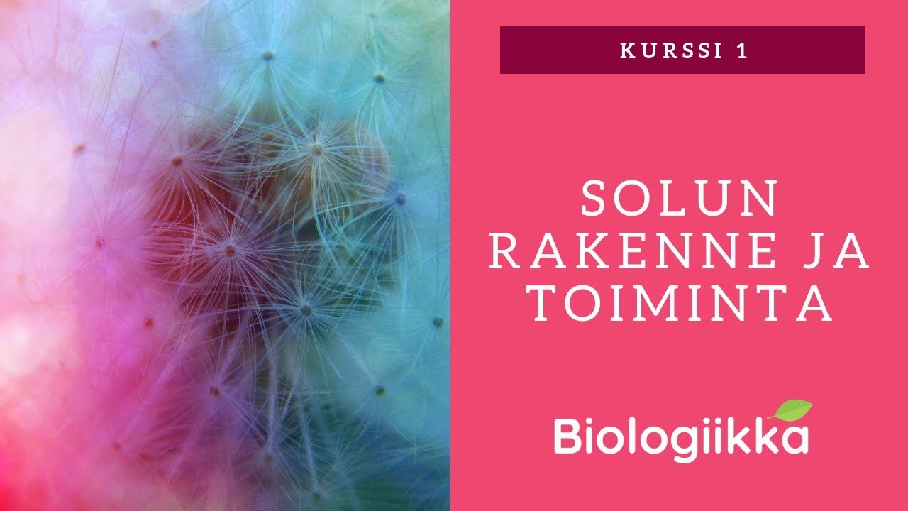 Elämän kaupunki - Solun rakenne ja toiminta