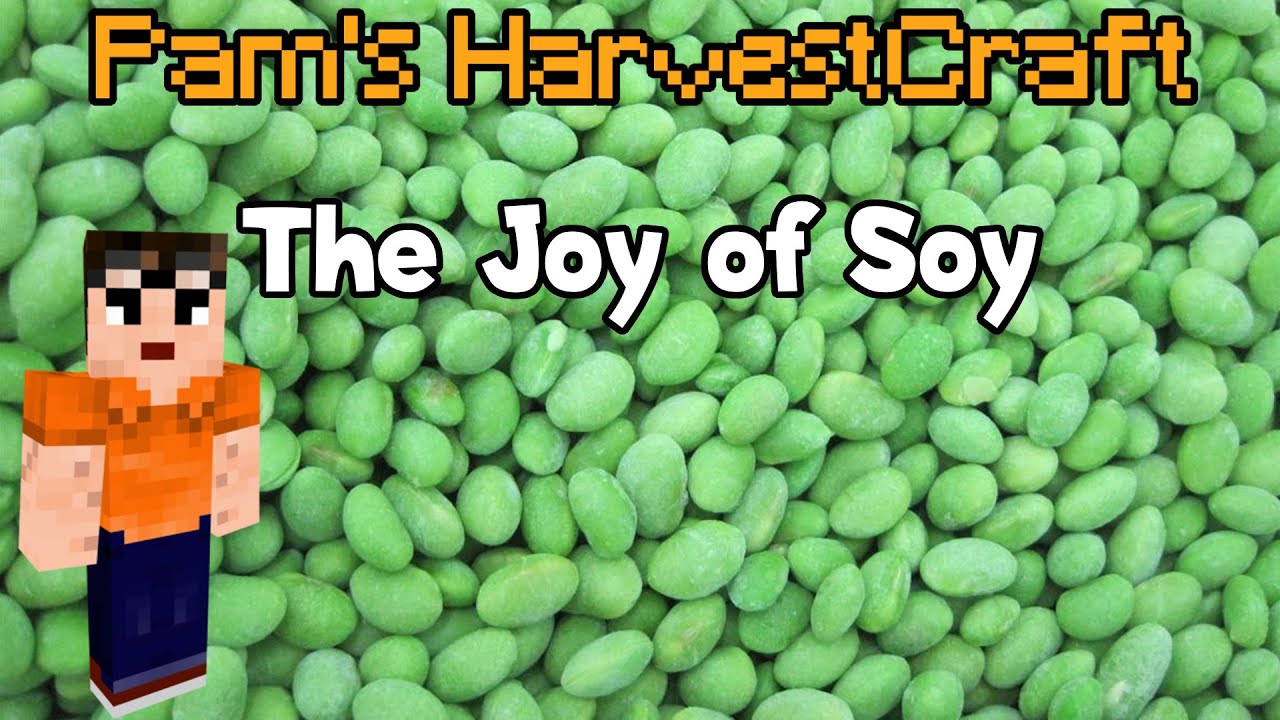 The Joy of Soy - Pam's HarvestCraft