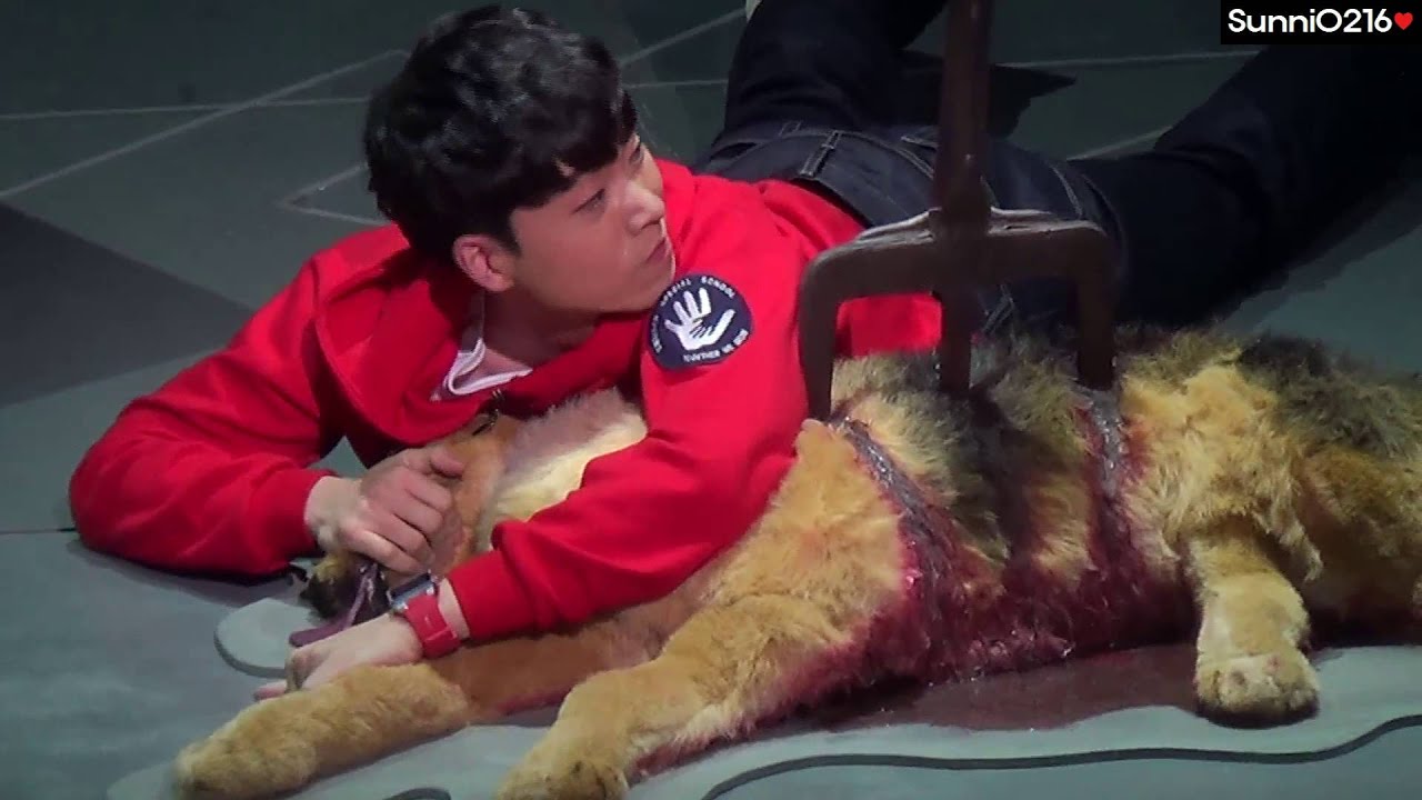 20151203 한밤중에 개에게 일어난 의문의 사건 프레스콜 1막 시연(전성우 focus)