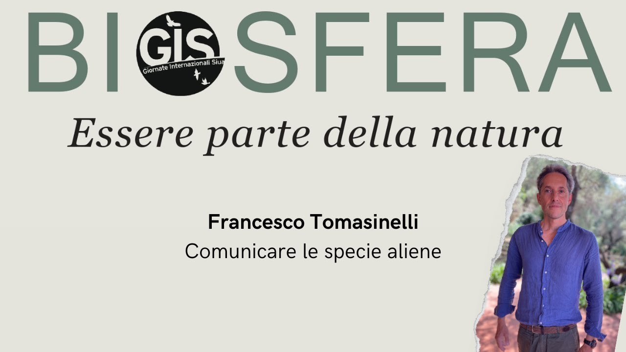 GIS 2025 - Francesco Tomasinelli