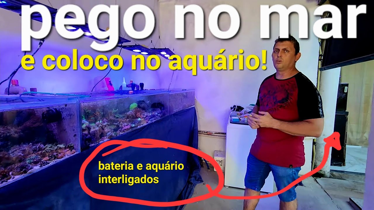 ÁGUA DO MAR PARA AQUÁRIO MARINHO? 😱 INCRÍVEL Bateria de corais do Fabiano de Fortaleza Ceará