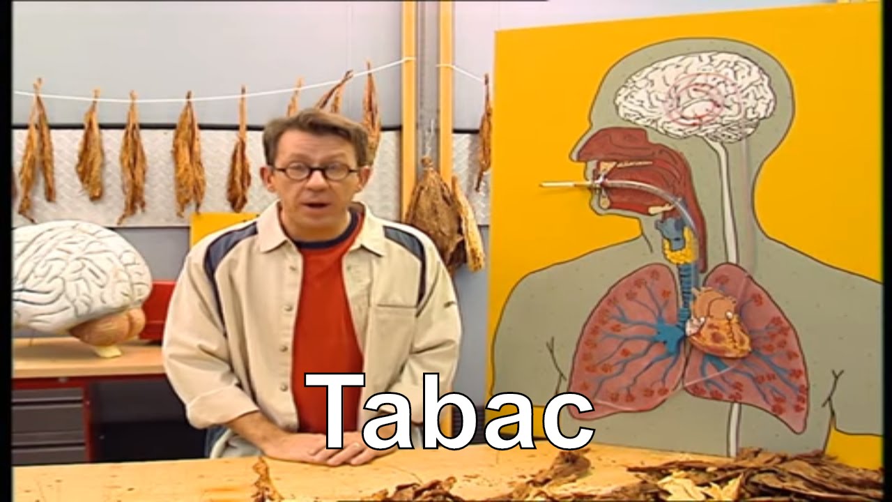 Pourquoi la fumée du tabac est-elle mauvaise pour la santé ? - C'est pas sorcier