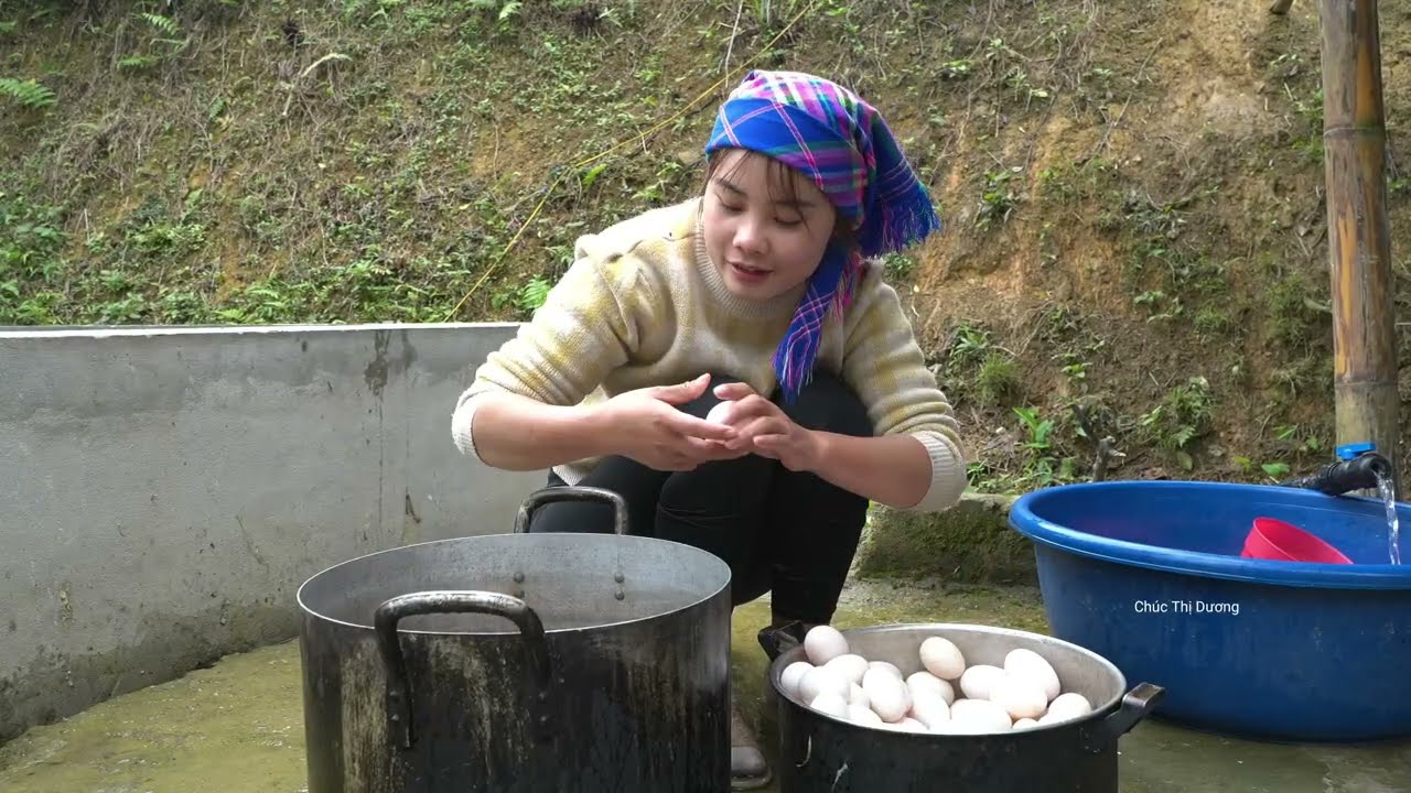 Egg Recipe: How to Cook Super-Size Pan of Fried Egg to Sell at Market with My Kids