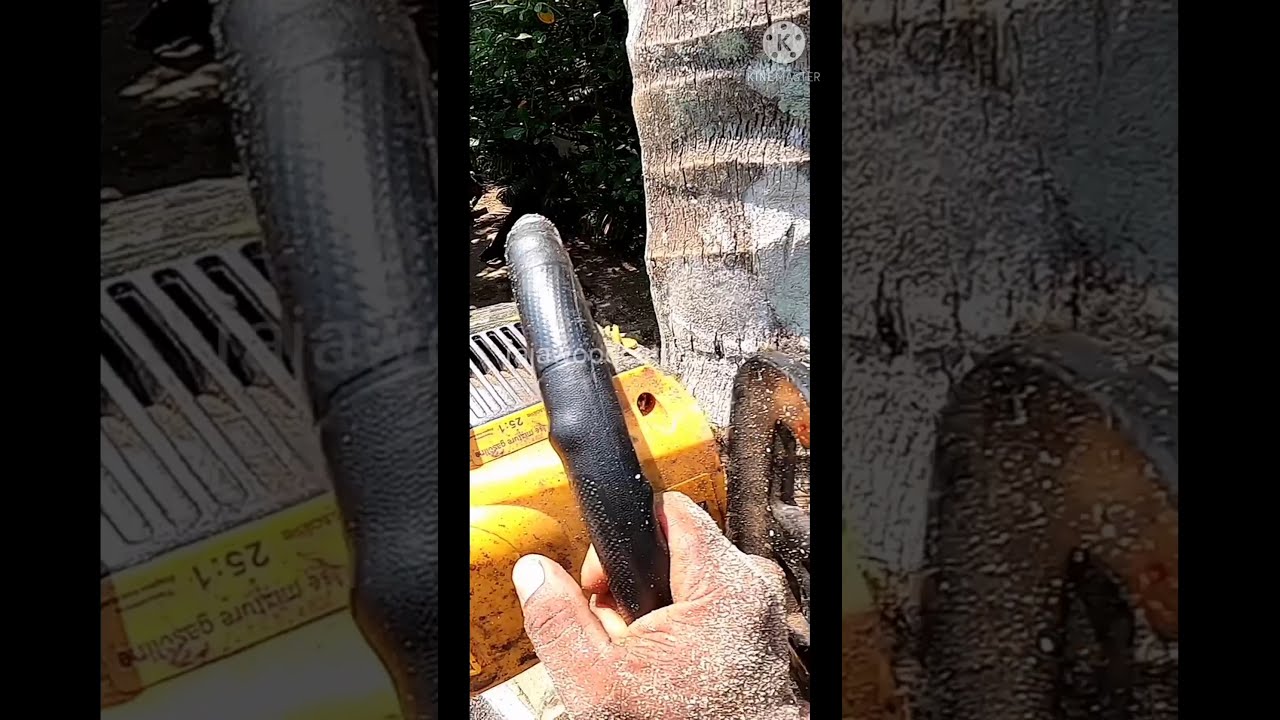 coconut tree cutting/ gopro 8 black  / #rajawoodcutting