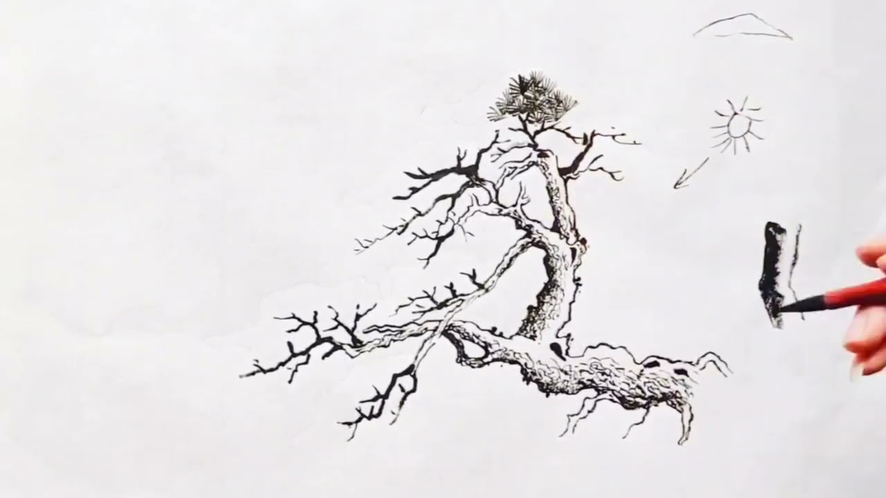 零基础学习国画松树画法，讲解详细，值得收藏！