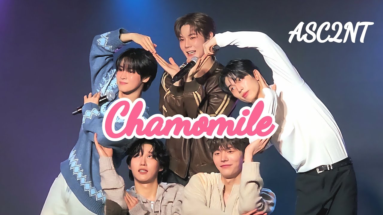 ASC2NT 『Chamomile』