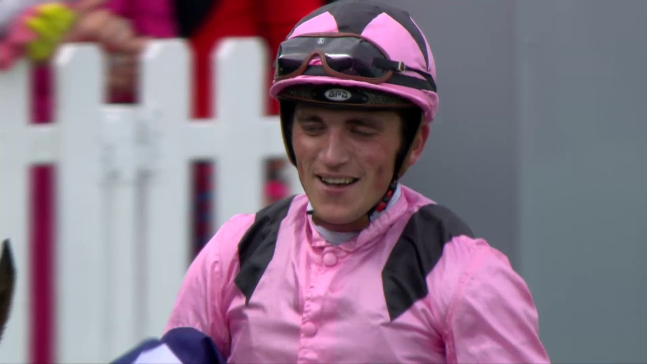 galoprennen (hordenren) wedstrijd Prijs Felix de Ruyck (ren 3) op Waregem Koerse 2018