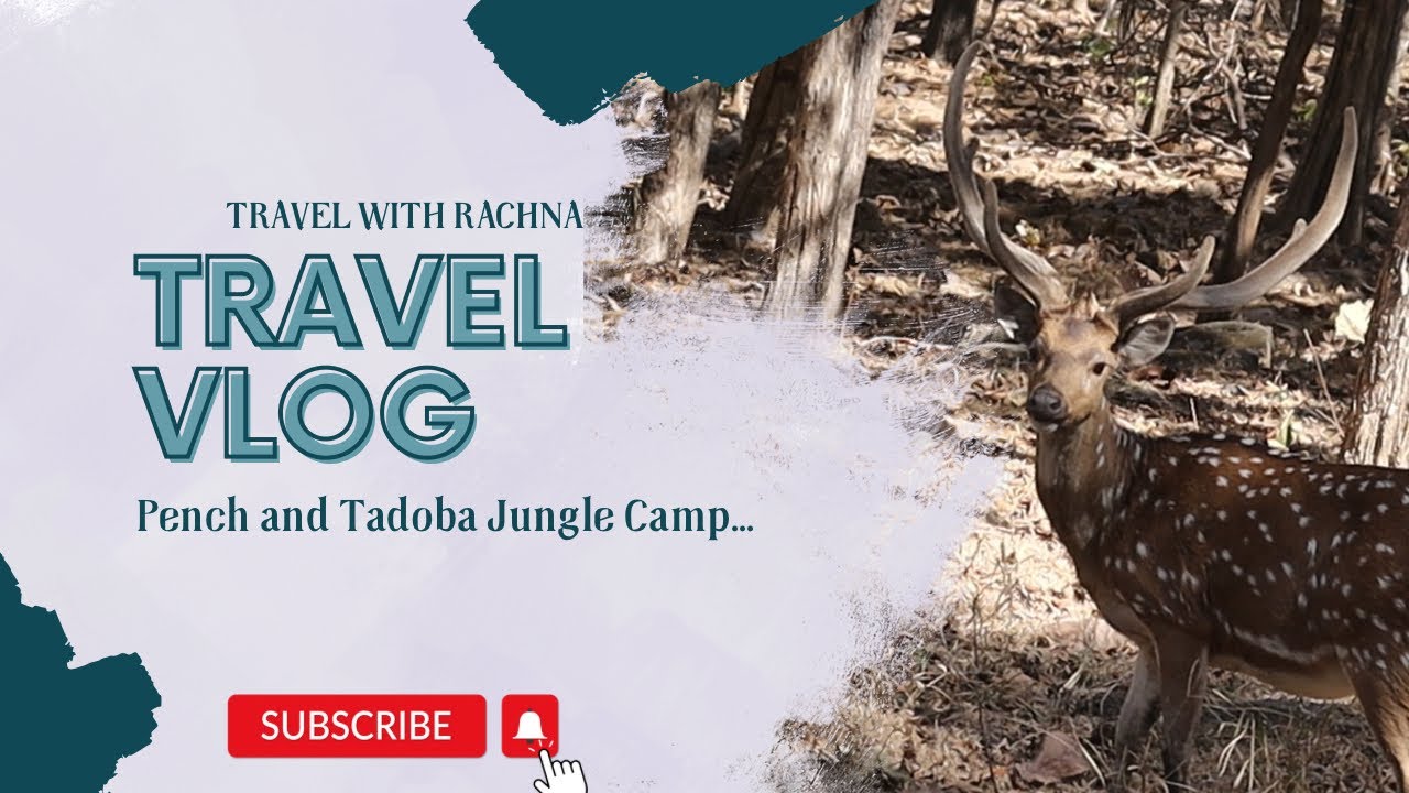 PENCH JUNGLE CAMP | TADOBA JUNGLE CAMP | TRAVEL VLOG | TEASER | TRAVEL WITH RACHNA