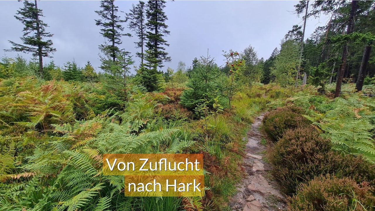 11|05 Von Zuflucht nach Hark