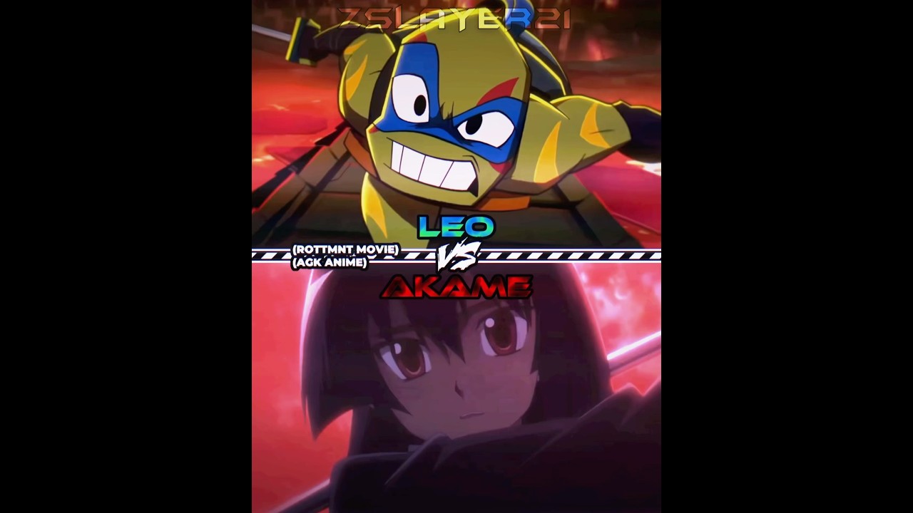 Leo (ROTTMNT Movie) vs Akame