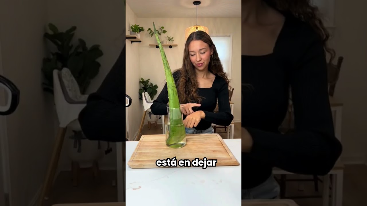 &iquest;Piel seca, opaca o con arrugas? Esta crema casera de aloe vera y vaselina es un rejuvenecedor
