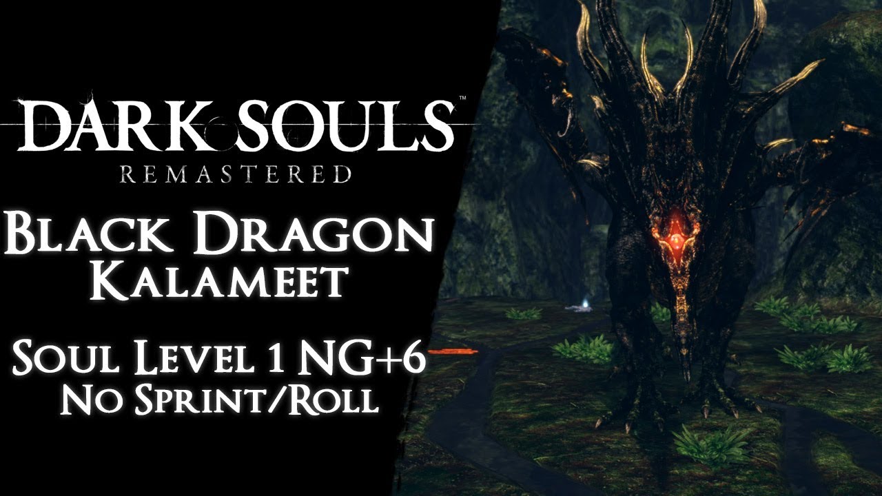 Dark Souls SL1 NG+6 - Black Dragon Kalameet【No Damage, Sprinting, Rolling, Blocking】