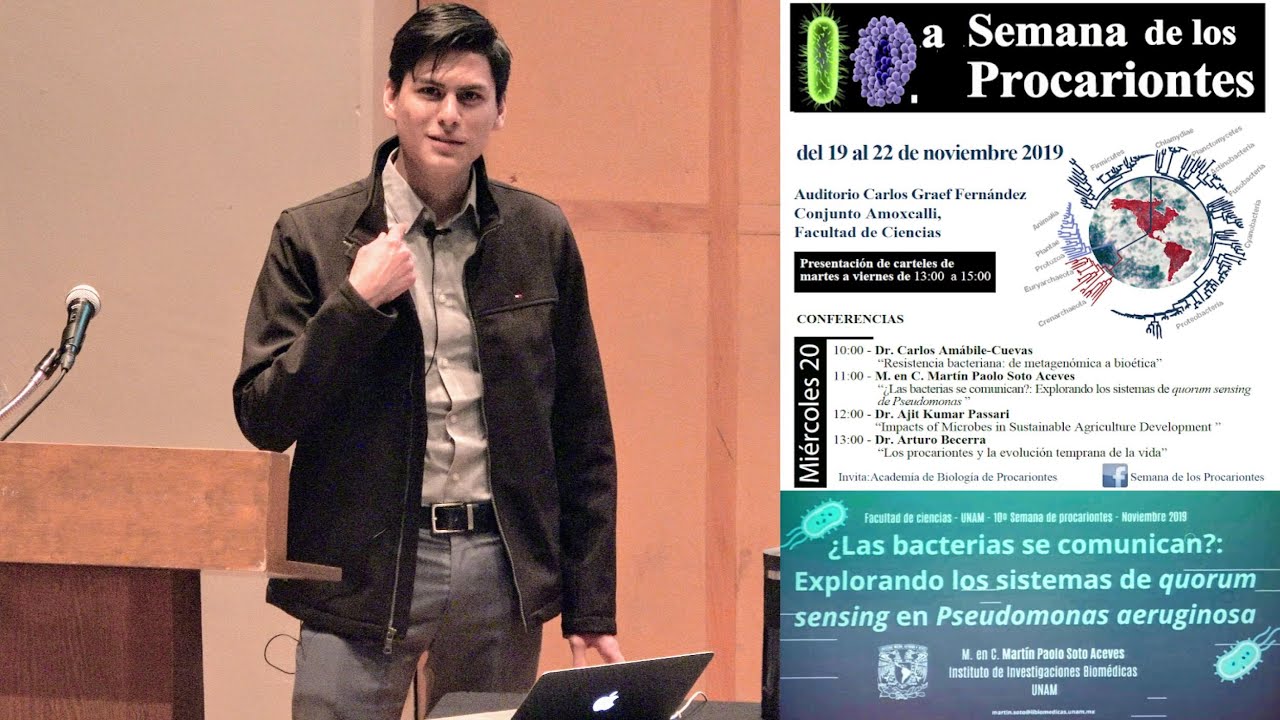 ¿Las bacterias se comunican?: Explorando los sistemas de quorum sensing en Pseudomonas (Martín Soto)