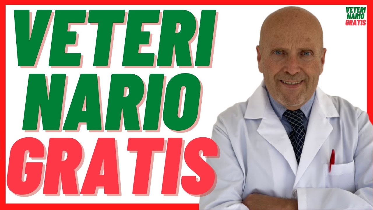 🔴 VETERINARIO GRATIS Online Urgencias 24 horas cerca de m&iacute; 🔴 Consultas Veterinarias sin APPS  2021