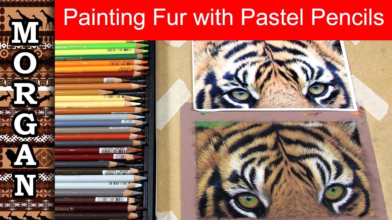 Painting fur with pastel pencils - Tiger - Jason Morgan wildlife art