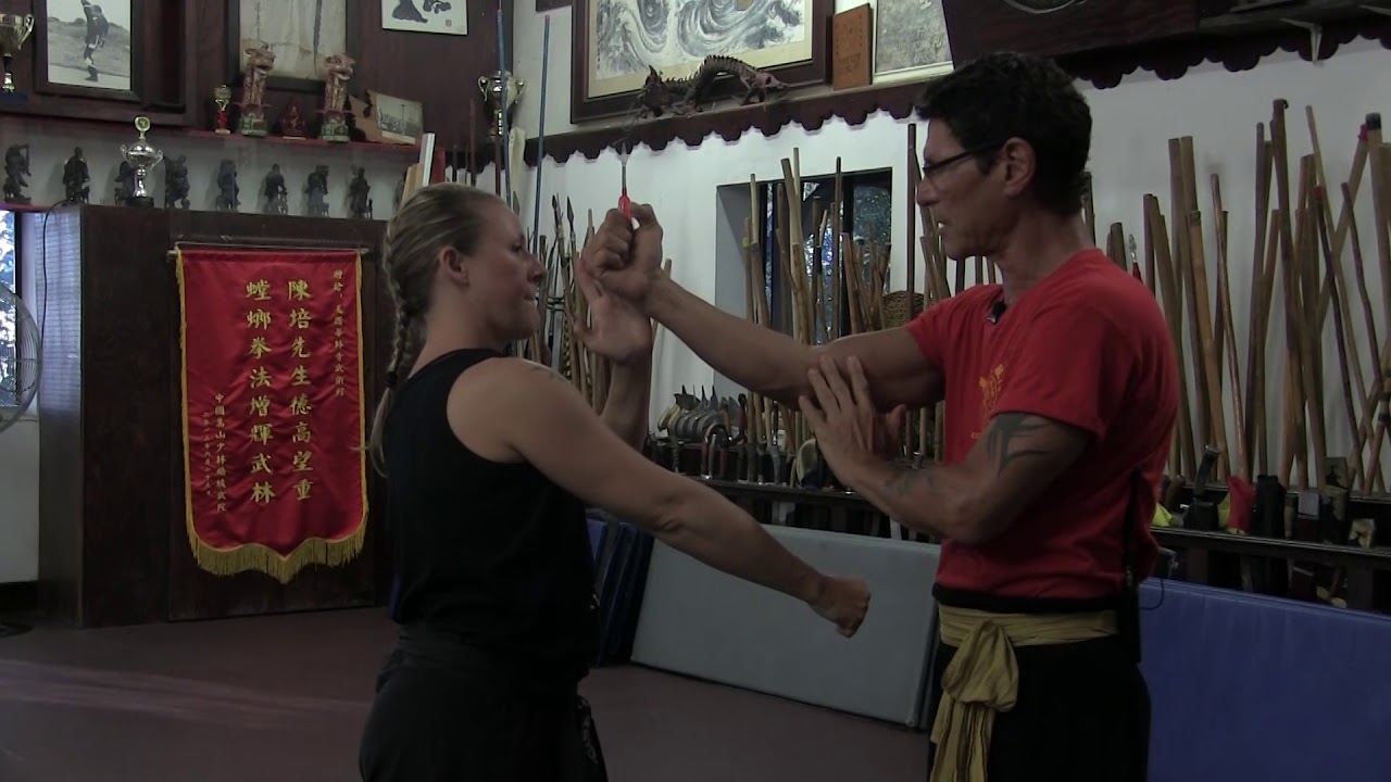 Kung Fu POD Episode 20: Kung fu self defense 3 tap drill with Sifu Leroy Kautz of Wah Lum Knoxville
