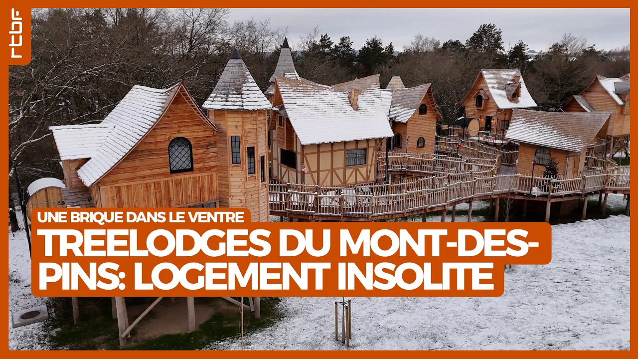 Les treelodges du Mont-des-pins : un logement insolite à Durbuy | Une brique dans le ventre