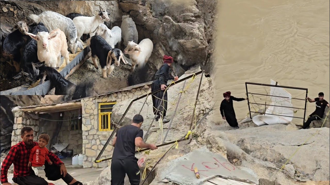 زندگی عشایری در روز بارانی وسختی های عشایری 