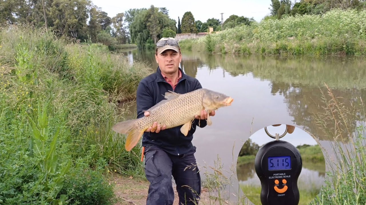 Del trabajo al arroyo a pescar □Pesca de Carpas □Carpfishing □Fishingcreek