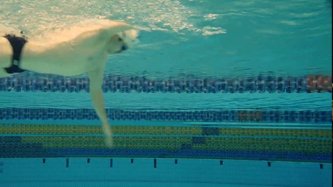 Bakers Delight Partners with Swimming Australia
