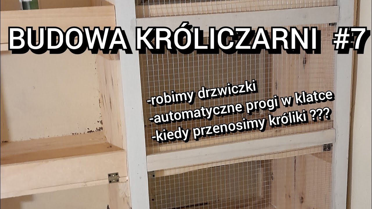 BUDOWA KRÓLICZARNI #7 robimy drzwiczki, automatyczne progi, kiedy przenosimy króliki? #króliczarnia