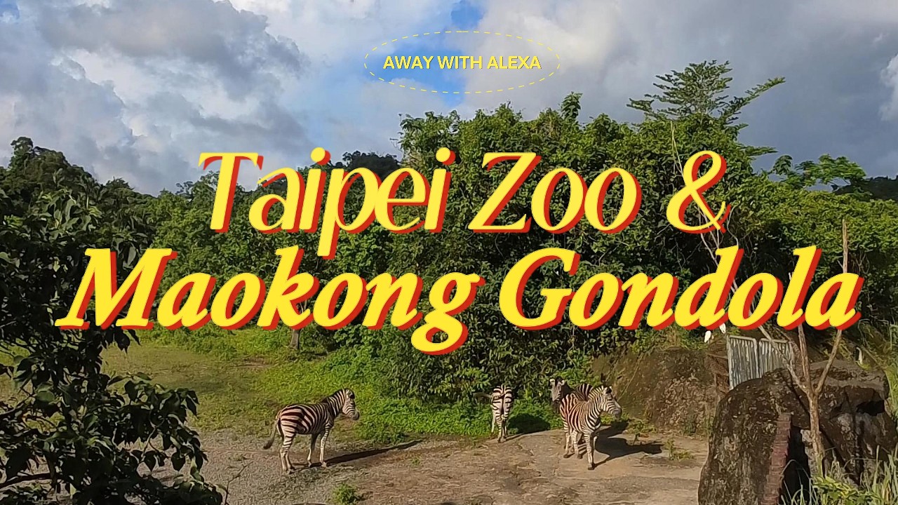 taipei zoo sillies & maokong gondola sunsets 🐼🐨🐍 | taiwan travel vlog 🇹🇼