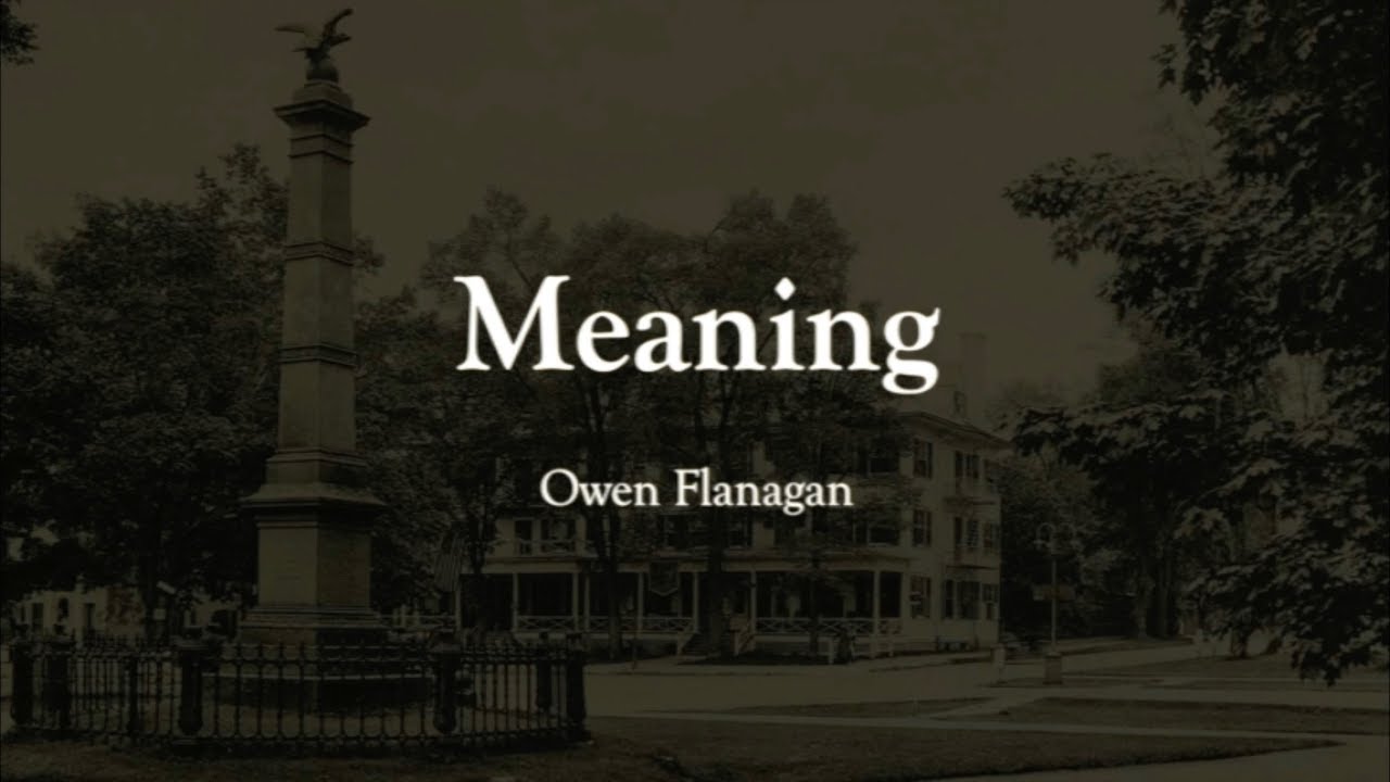 Meaning: Owen Flanagan