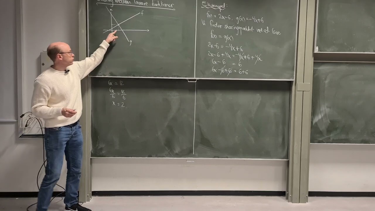Sk&aelig;ring mellem line&aelig;re funktioner - intro