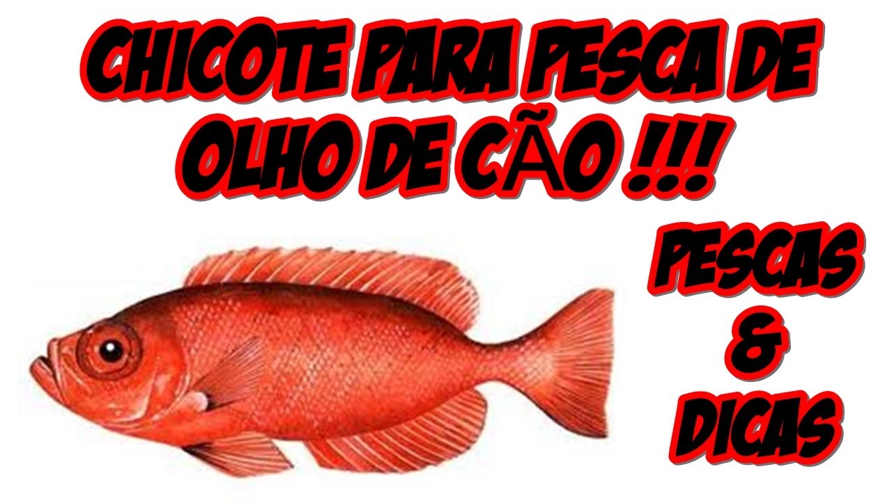 Chicote para pesca de olho de cão com boia PESCAS & DICAS [HD] #05