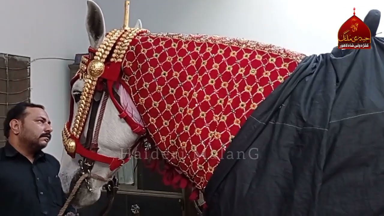 Zuljanah Tayari Murtajiz Badshah 28 Rajab 2021 Lahore