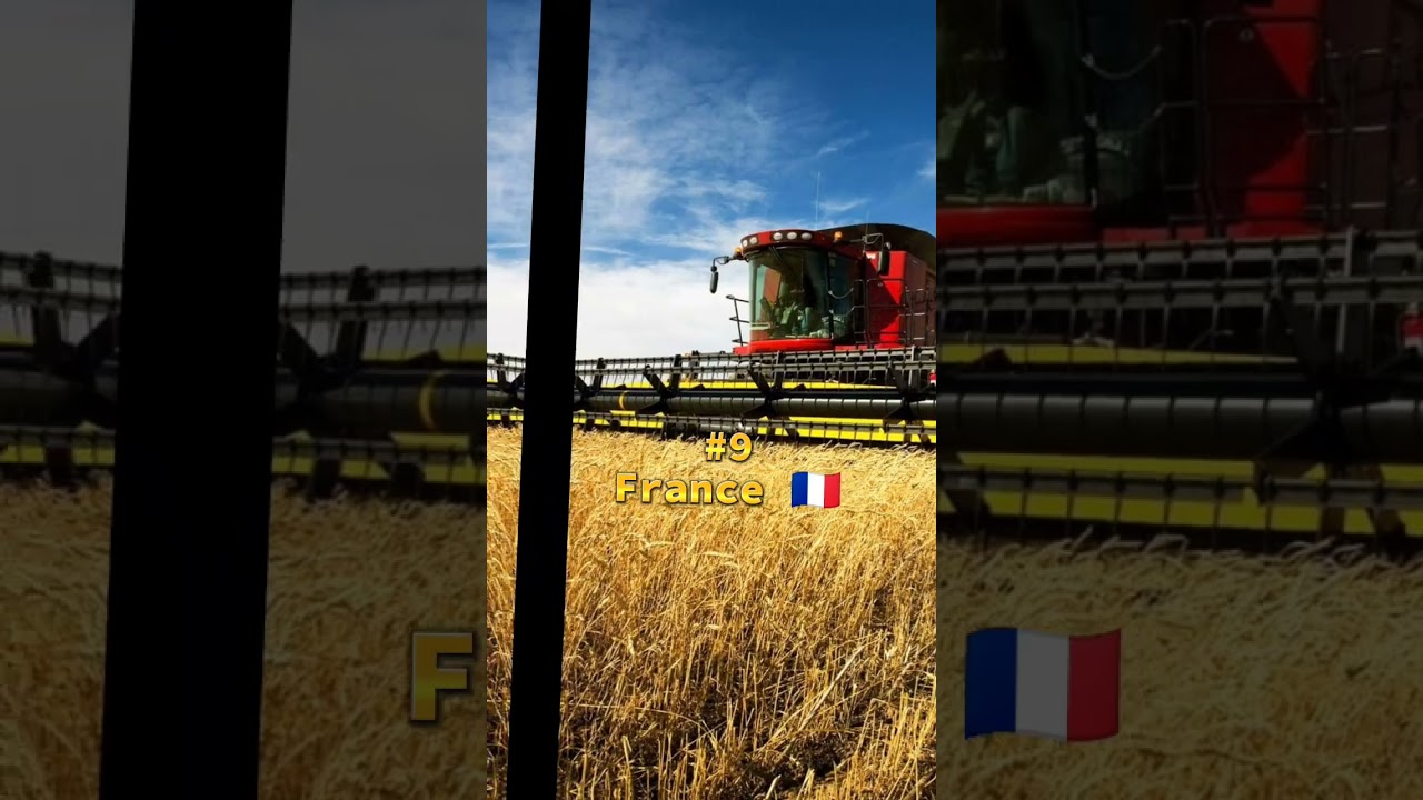 Top 10 Countries With Cereal Production #viralvideo #top10info #foryou #facts #top10 #cereal