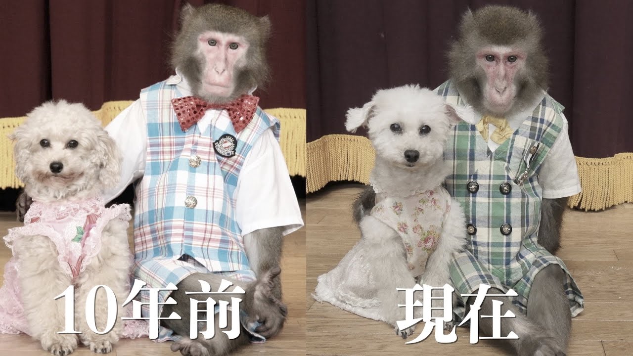 え…嘘でしょ…