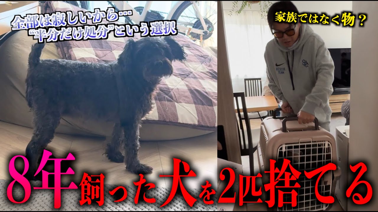 8年飼った犬を”捨てる”という選択