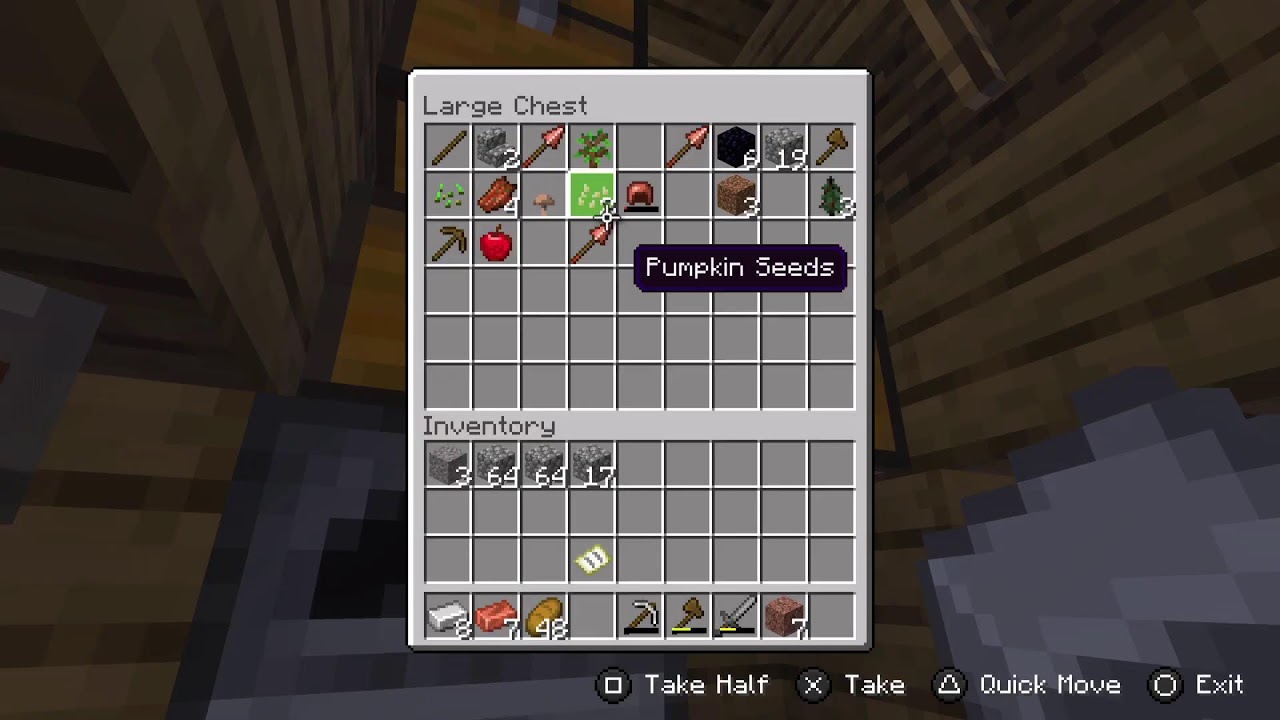Trying to beat Minecraft.