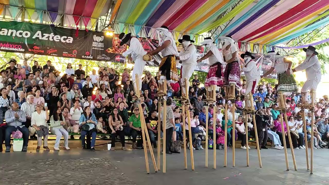 La Danza de los Zancudos de Zaachila, Oaxaca 20251116