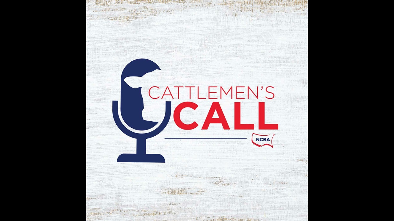 South Dakota Cattleman, Lawyer and Father to Lead Cattle Industry