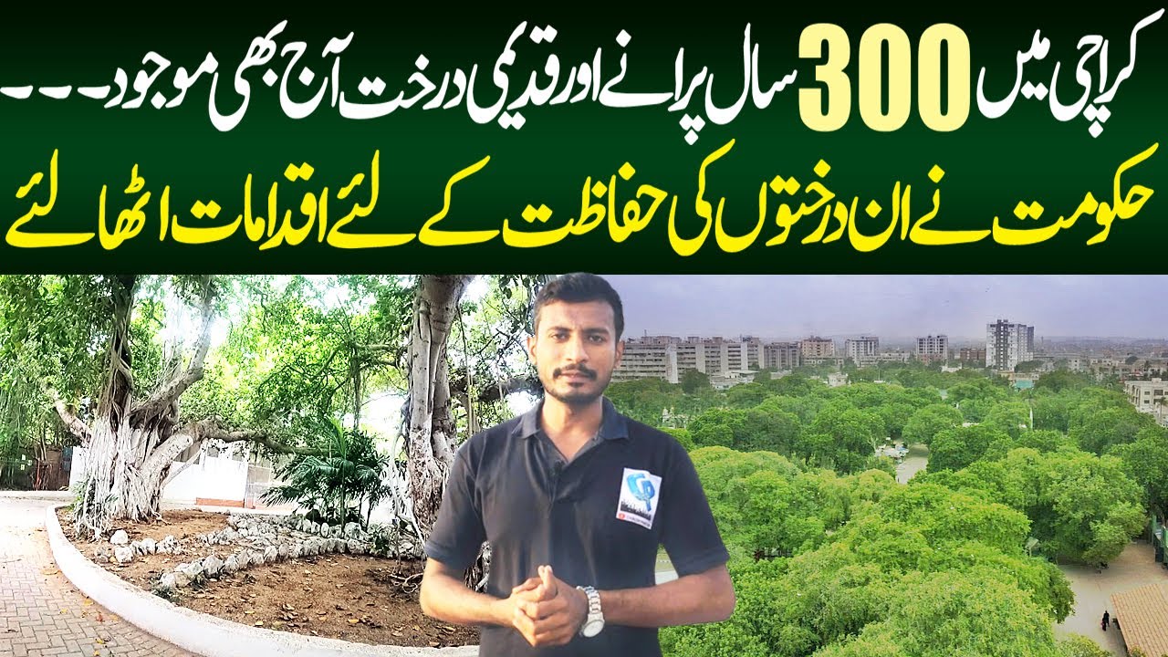 Most Old Trees in Karachi || Karachi Zoo || Banyan trees || Bargad Tree || Garden