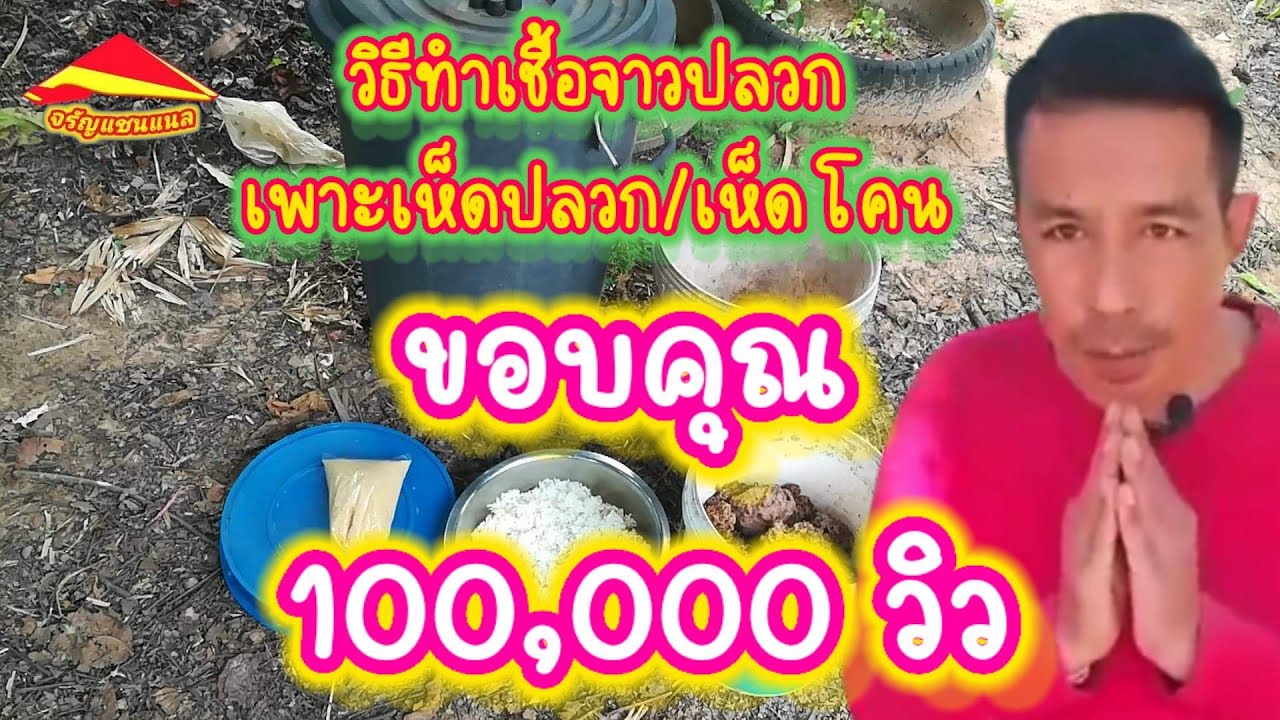(EP.5)วิธีทำน้ำหมักจาวปลวกเพาะเห็ดปลวก/เห็ดโคนได้ผลแน่นอน#เกษตรบ้านๆสบายๆสไตล์ลุงทอง