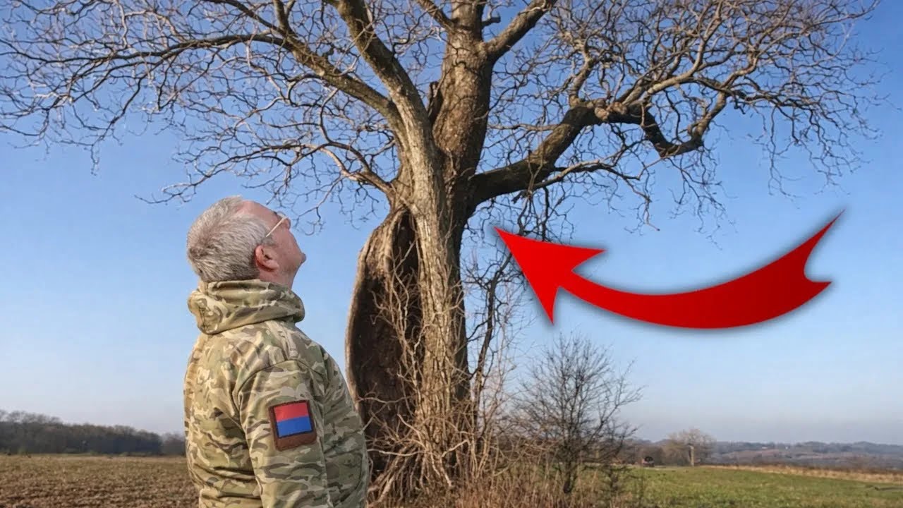 Почему опытные кладоискатели не должны это игнорировать