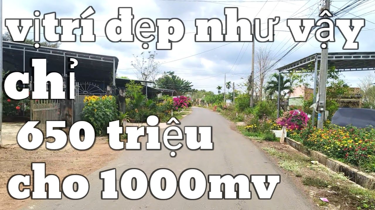 Tin nổi kg dân cư san sát, đất lên dc thổ cư mặt tiền nhựa,chỉ 650 triệu 1000mv BRVT: 0777444663