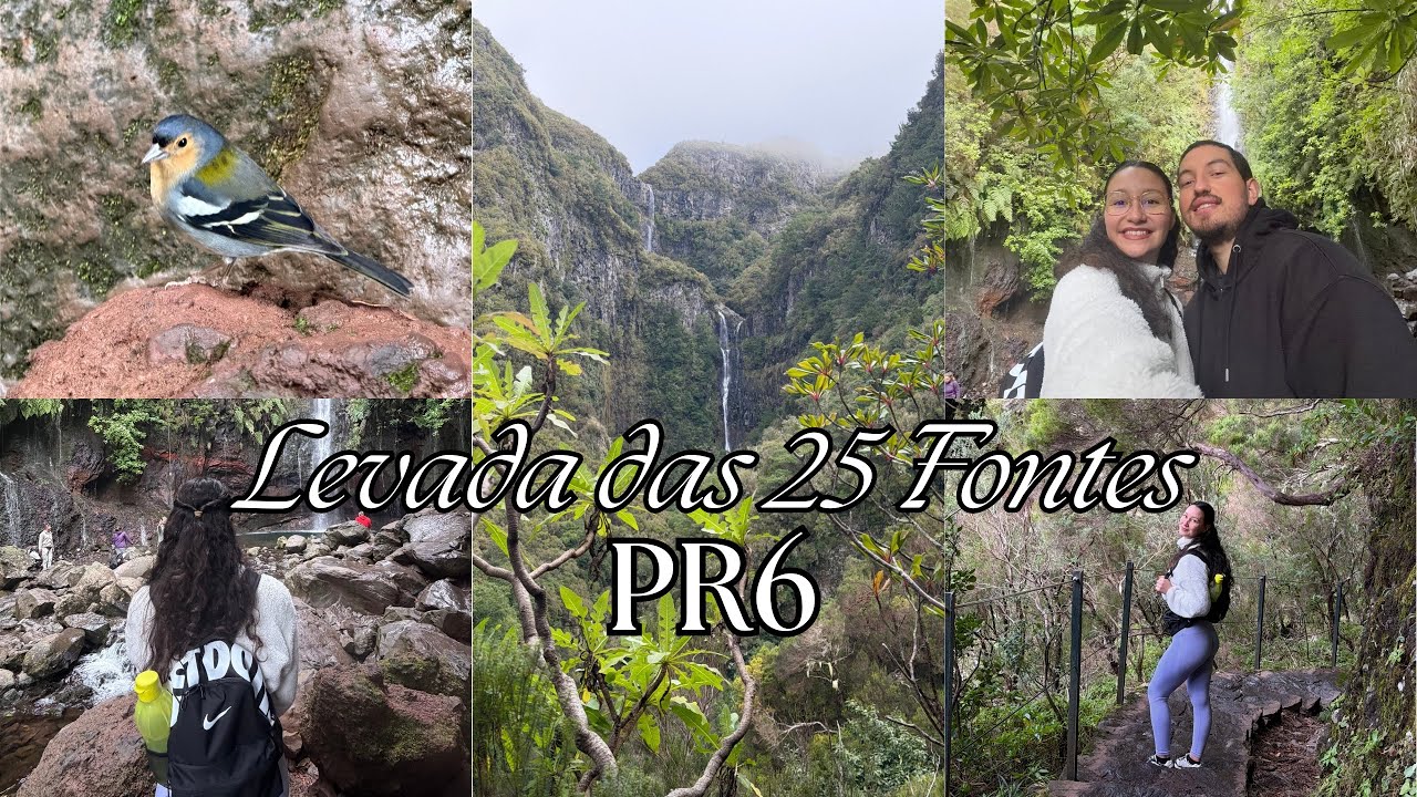 Levada das 25 Fontes, PR6 - 📍Calheta, Madeira