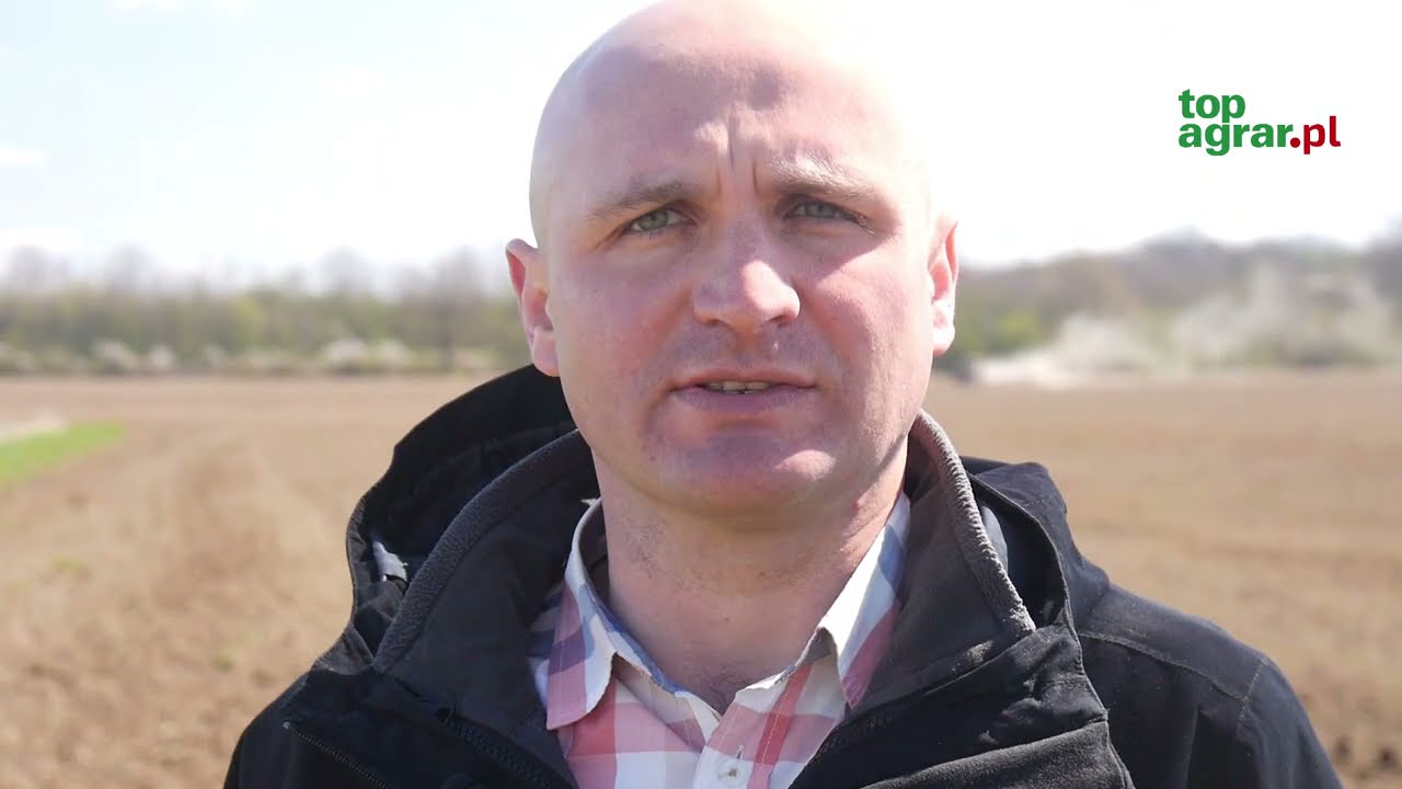 Czy soja się opłaca?