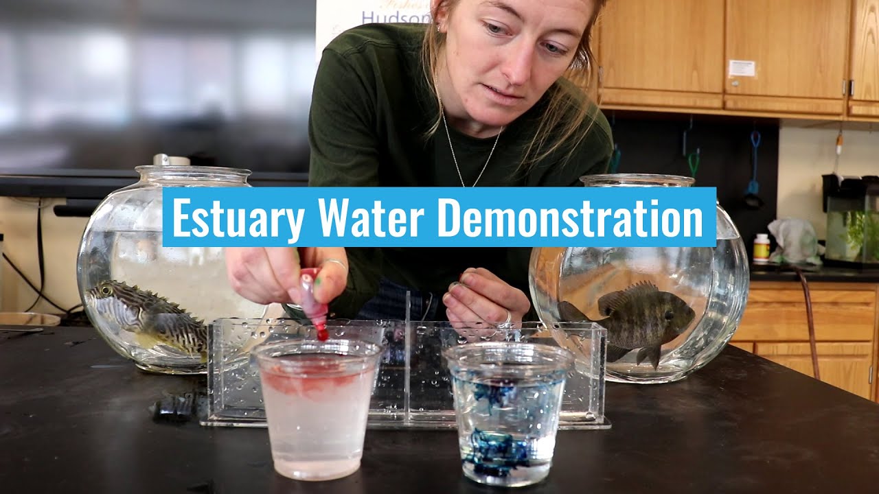 Estuary Water Demonstration