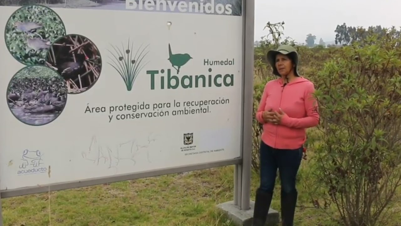 Humedal Tibanica