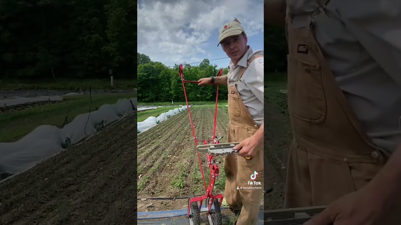 TerraTeck 2-wheel Hoe