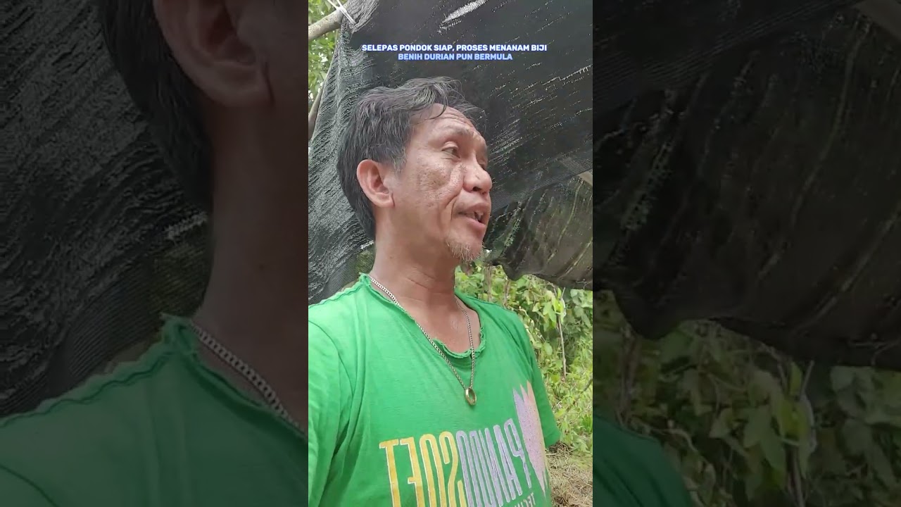 Membina Pondok Nursery & Menanam Anak Benih Durian | Durian Life Adventurer