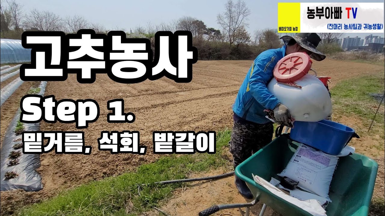 2021년 고추농사잘짓는법  Step 1. 밑거름, 석회, 밭갈이