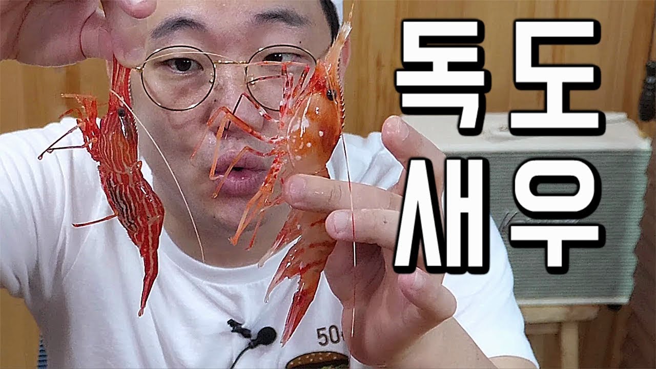 [4K]가장 비싼 새우 독도새우 리뷰  꽃새우 닭새우 먹방 애주가TV
