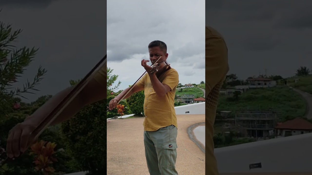 Now we are Free Violin cover